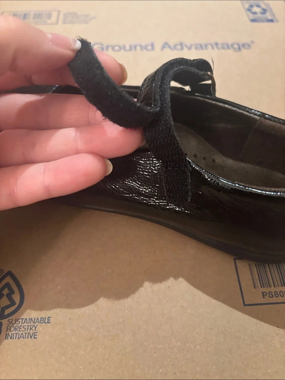 Aster sleek black